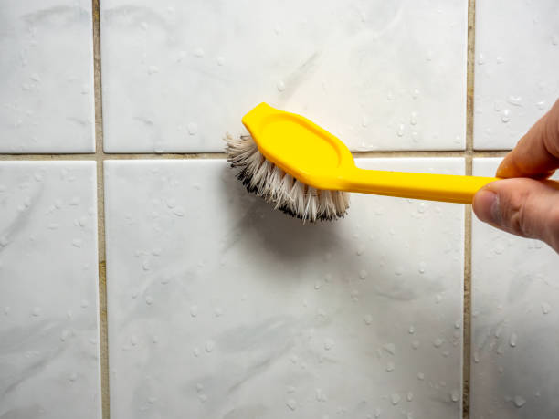 Best Localized Mold Remediation (e.g., coastal areas, humid climates) in Indiana, PA